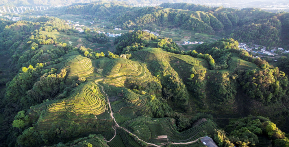 名山风景.png